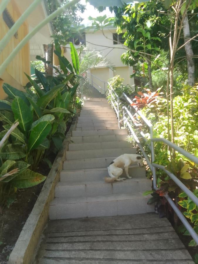 Woodland Inn El Nido Zewnętrze zdjęcie